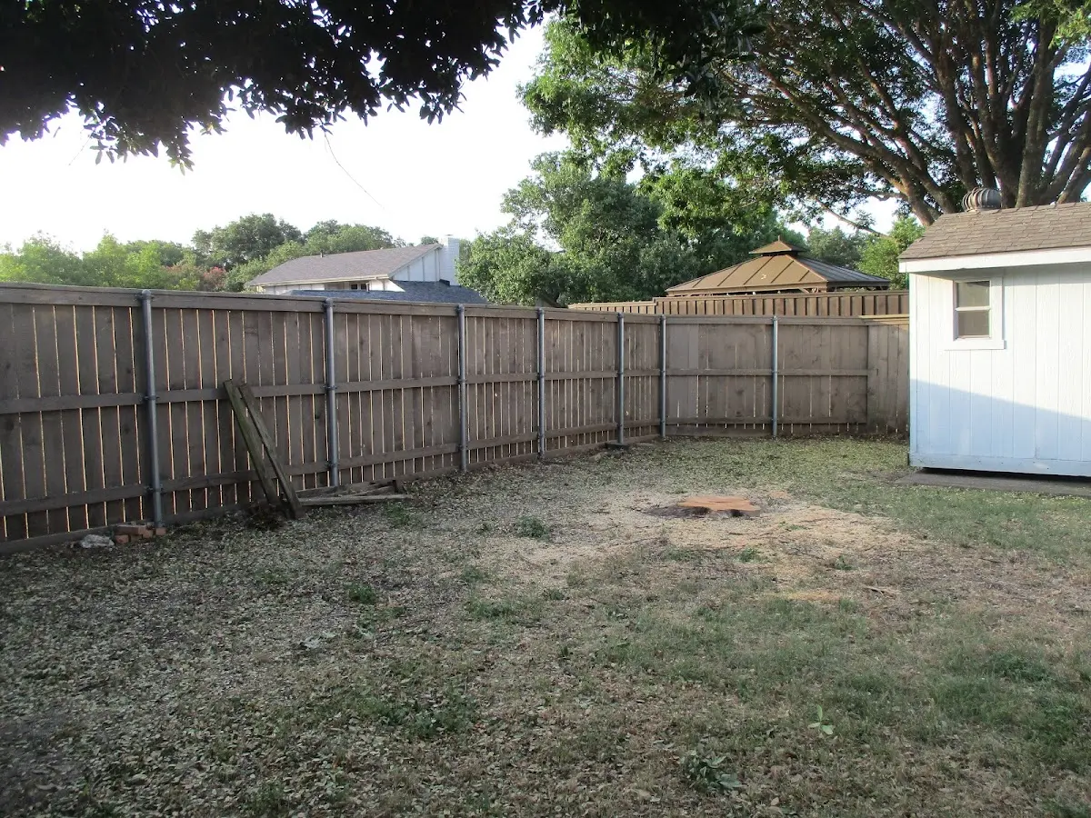 Cleared yard after professional tree removal in Asheville