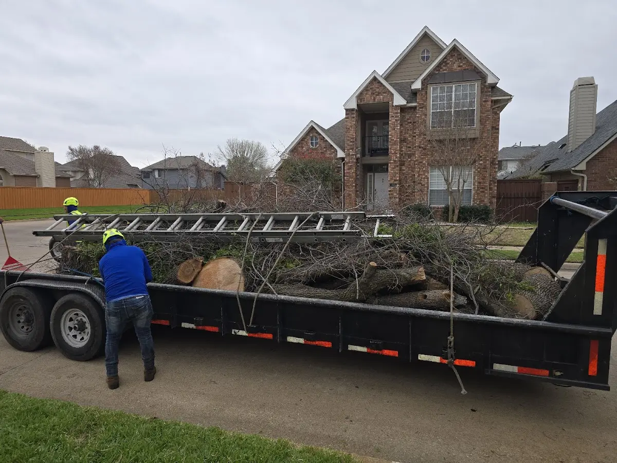 Expert Tree Pest Control with proper safety equipment in Asheville